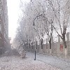 校园雾淞-1.