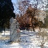 雪后校园.